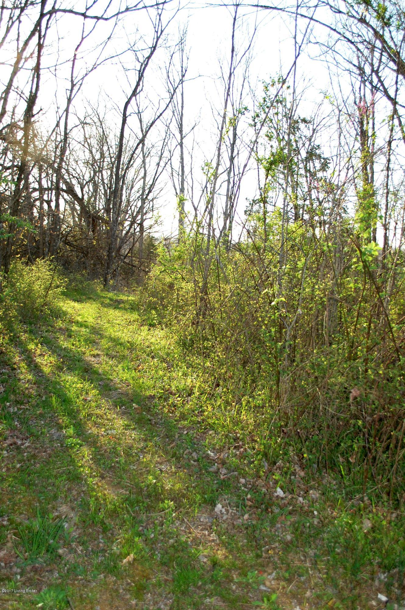 1 Bentley Road Mount Eden, KY 40046 - Photo 3 of 7 2