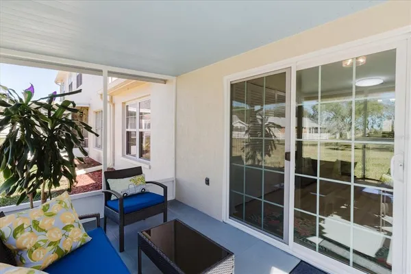 a room with furniture and a potted plant