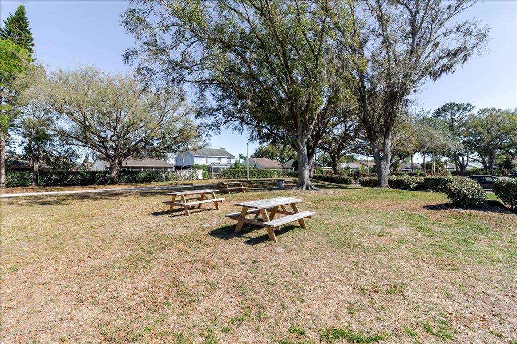 7807 Hardwick Drive, Unit 111 New Port Richey, FL 34653 - Photo 38 of 38 a view of a park with large trees
