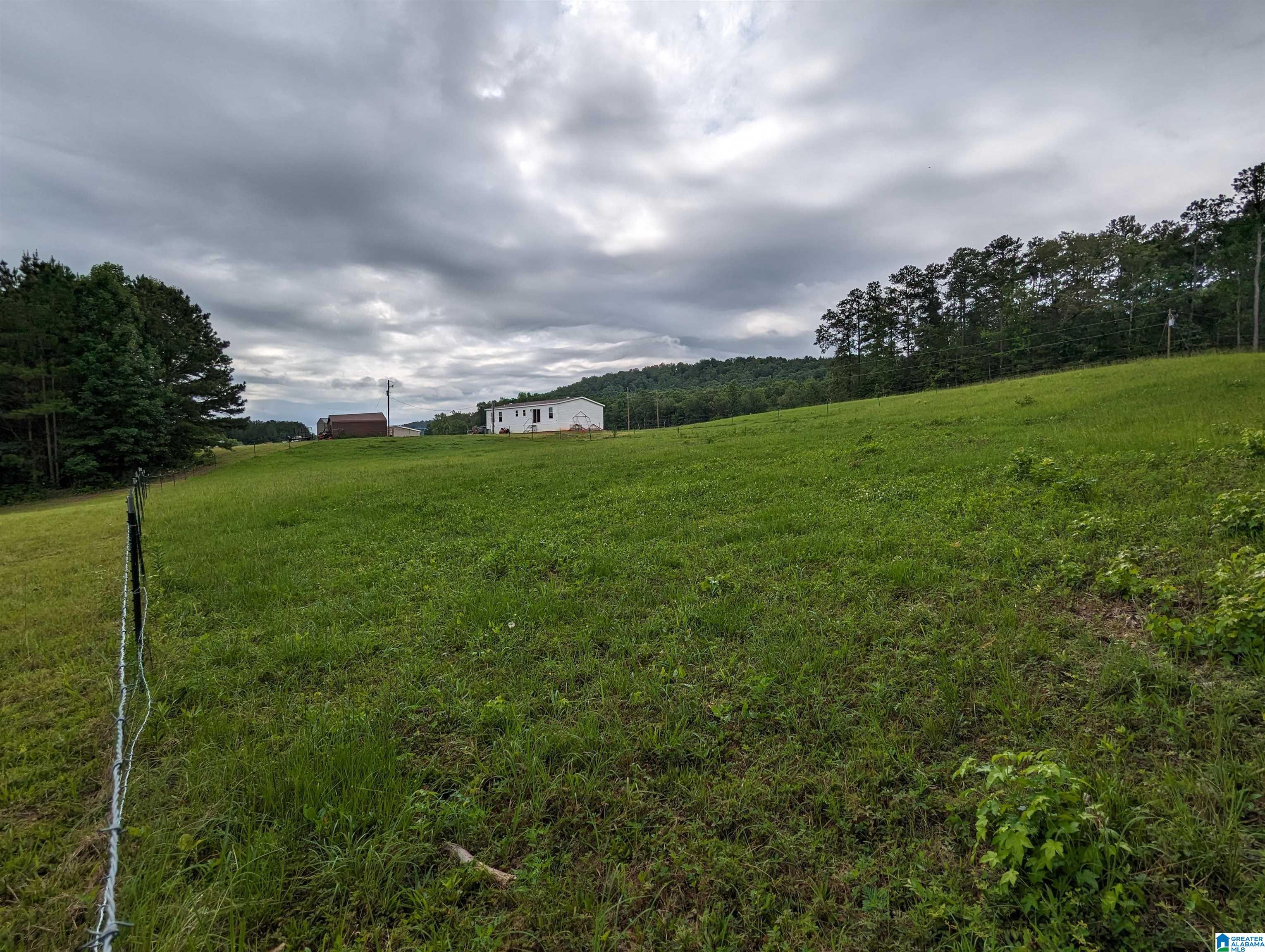 239 County Road 835 Clanton, AL 35046 - Photo 53 of 55