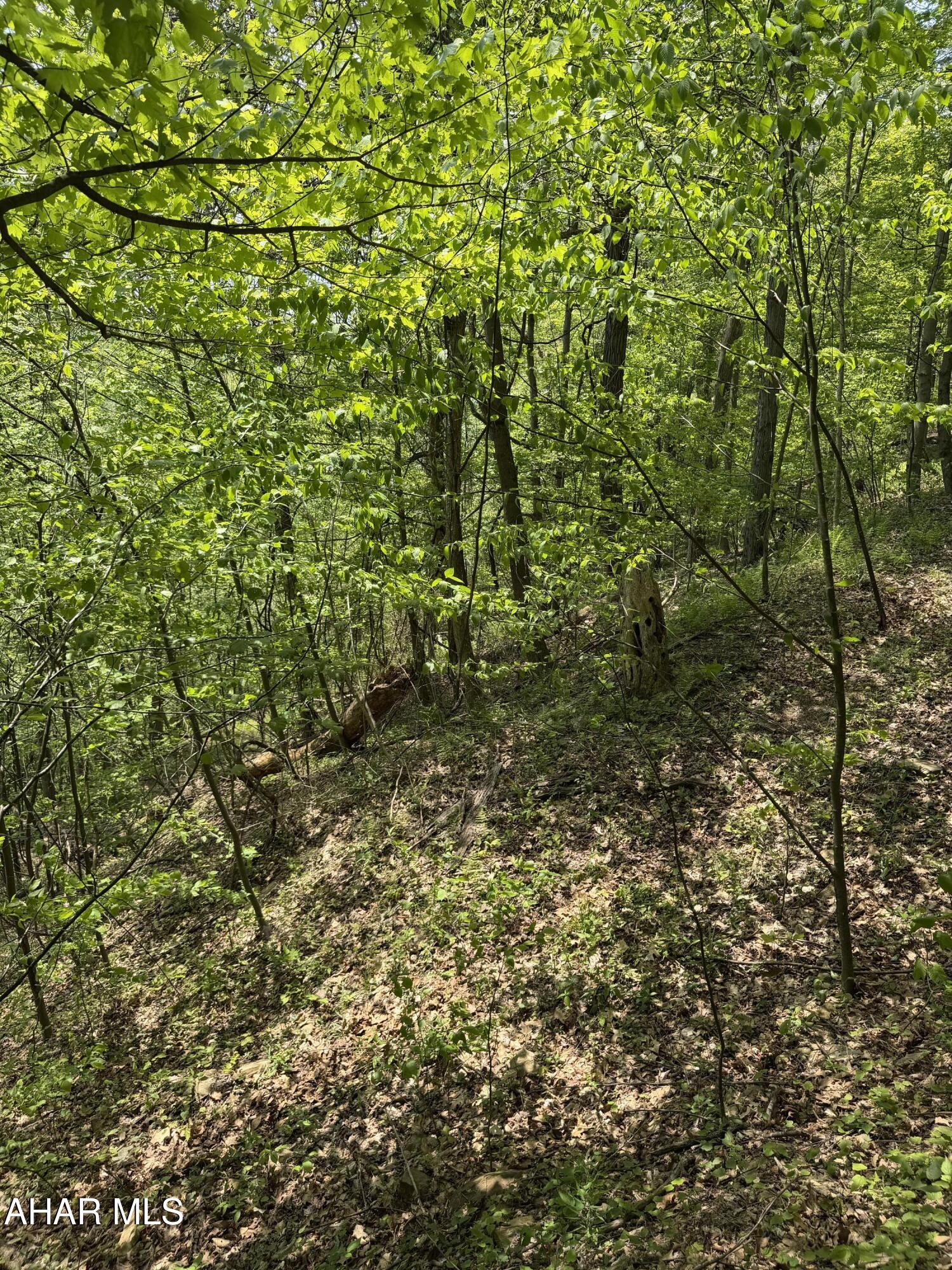 1438 Watt Road Gallitzin, PA 16641 - Photo 43 of 60