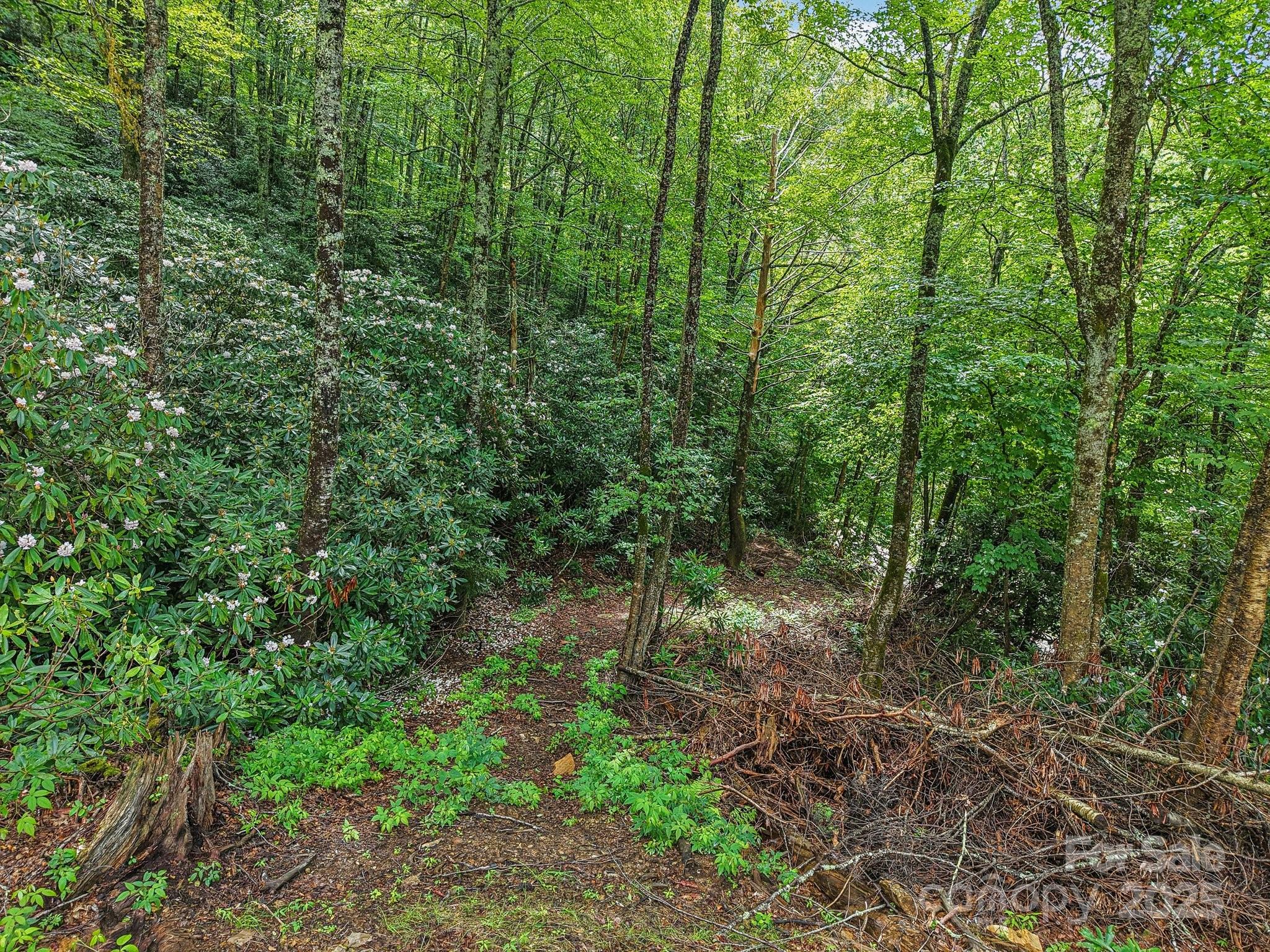 3514 Black Rock Road Maggie Valley, NC 28751 - Photo 44 of 47 Gallery Image 44