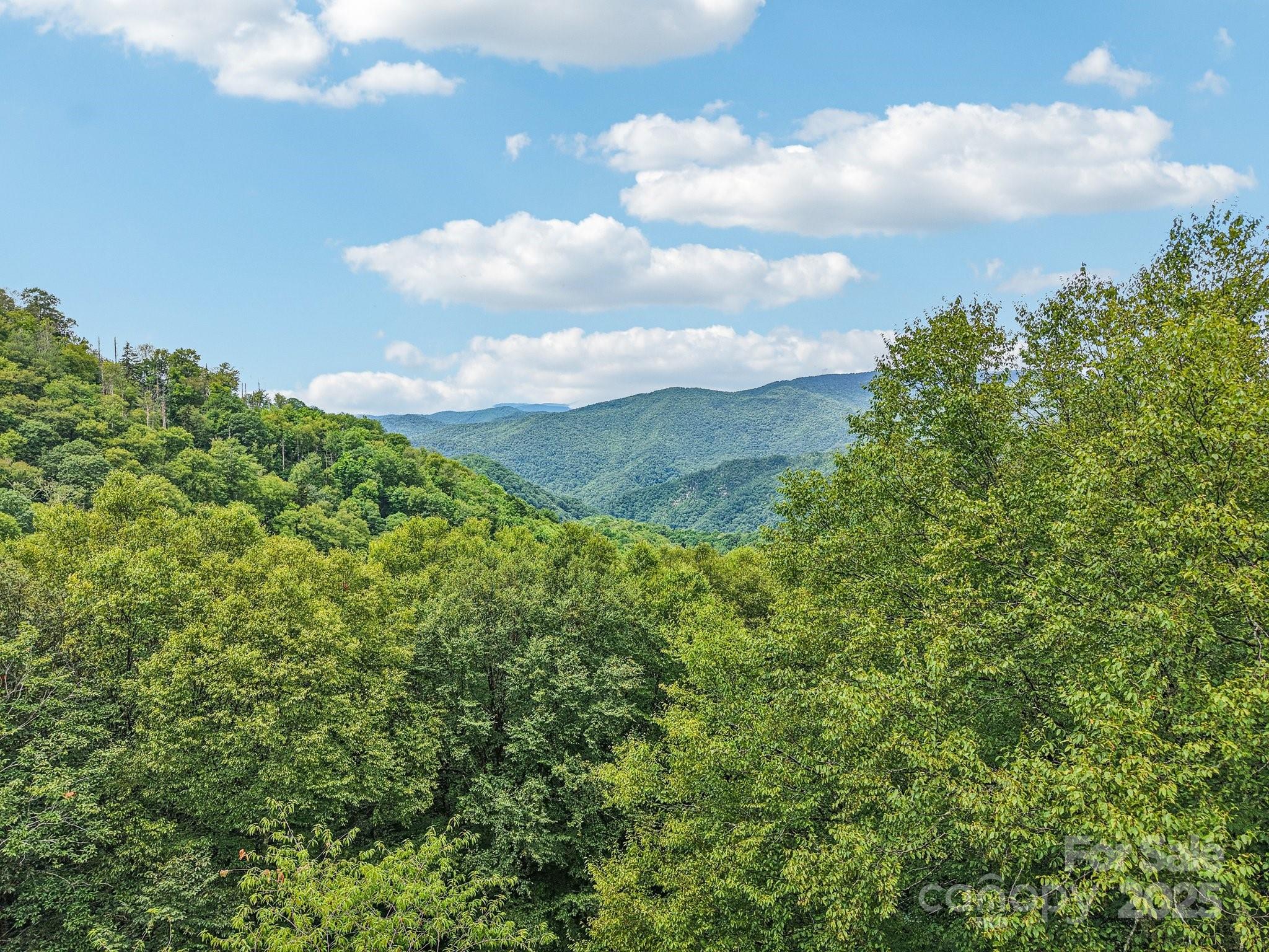 3514 Black Rock Road Maggie Valley, NC 28751 - Photo 45 of 47 Gallery Image 45