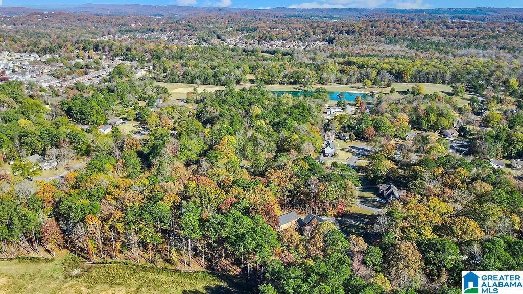 1226 Dunham Lane Helena, AL 35080 - Photo 60 of 62