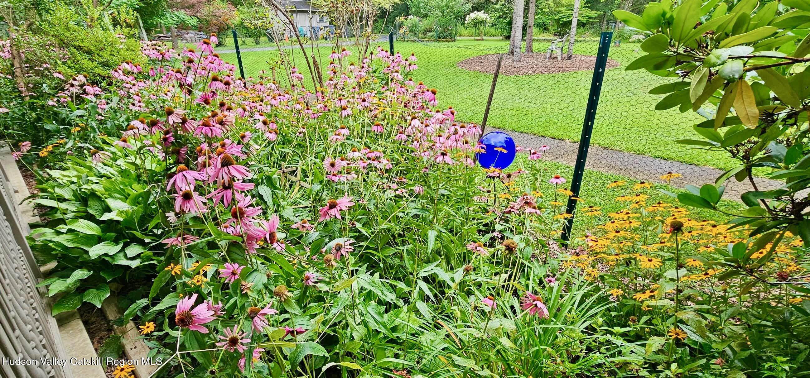 15 Unity Lane New Paltz, NY 12561 - Photo 51 of 66 FLOWER BLOOMS - 15 UNITY - 8