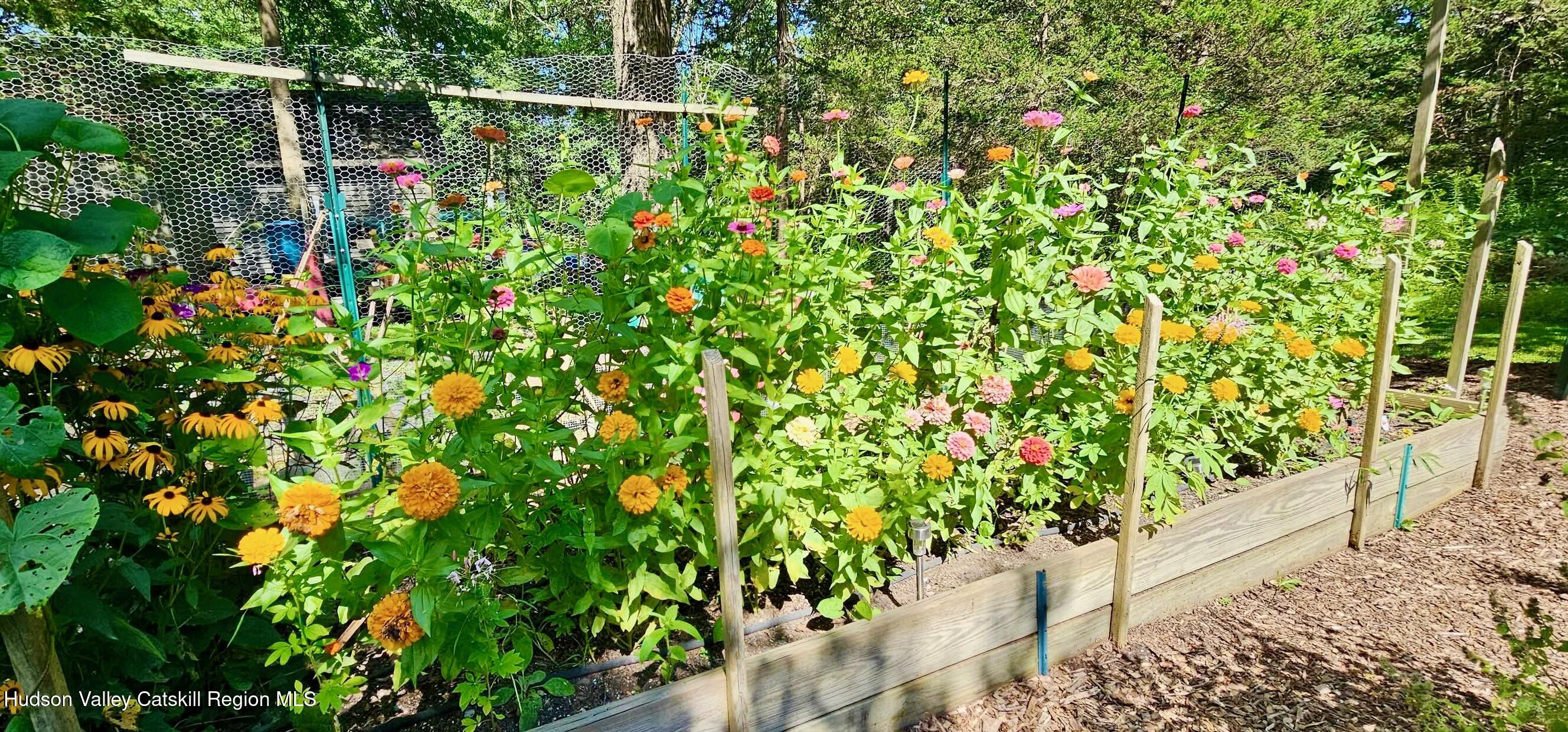15 Unity Lane New Paltz, NY 12561 - Photo 52 of 66 FLOWER BLOOMS - 15 UNITY - 7