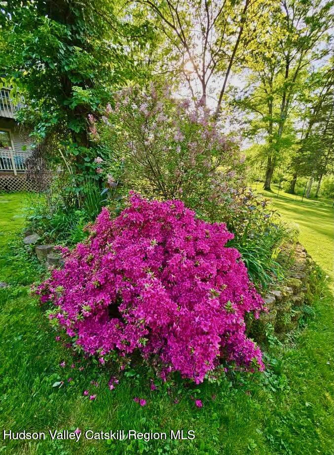 15 Unity Lane New Paltz, NY 12561 - Photo 53 of 66 FLOWER BLOOMS - 15 UNITY - 6