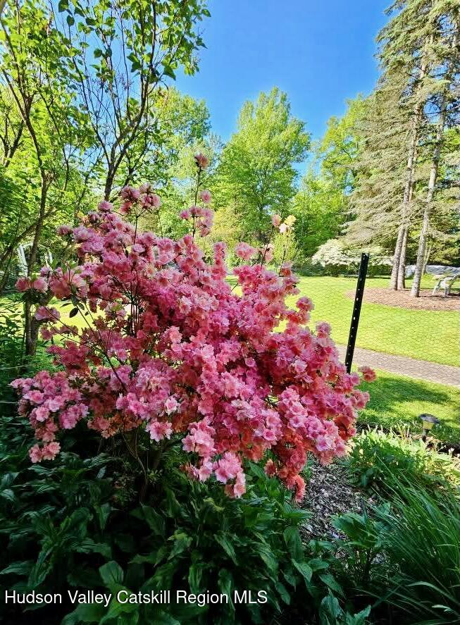 15 Unity Lane New Paltz, NY 12561 - Photo 54 of 66 FLOWER BLOOMS - 15 UNITY - 5