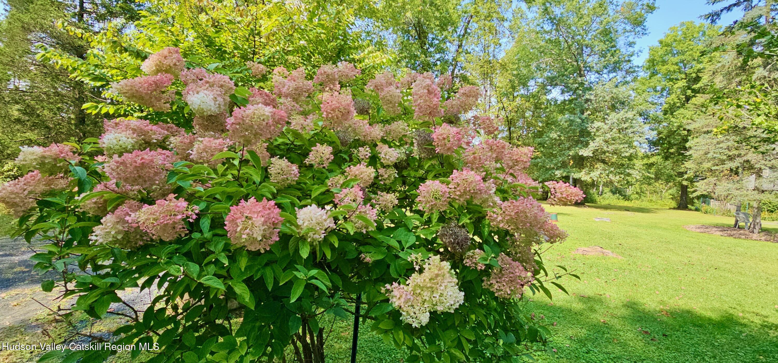 15 Unity Lane New Paltz, NY 12561 - Photo 55 of 66 FLOWER BLOOMS - 15 UNITY - 4