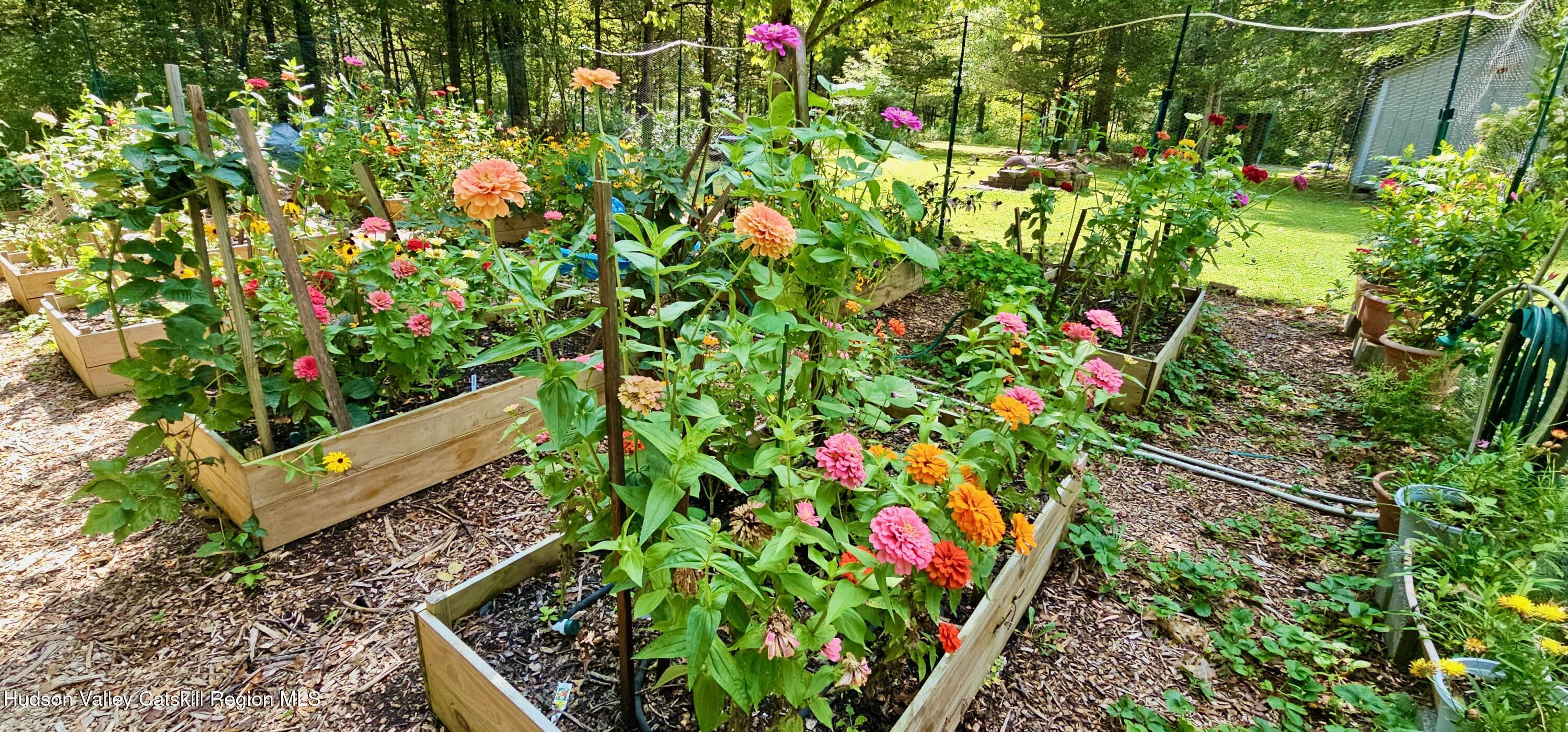 15 Unity Lane New Paltz, NY 12561 - Photo 56 of 66 FLOWER BLOOMS - 15 UNITY - 3