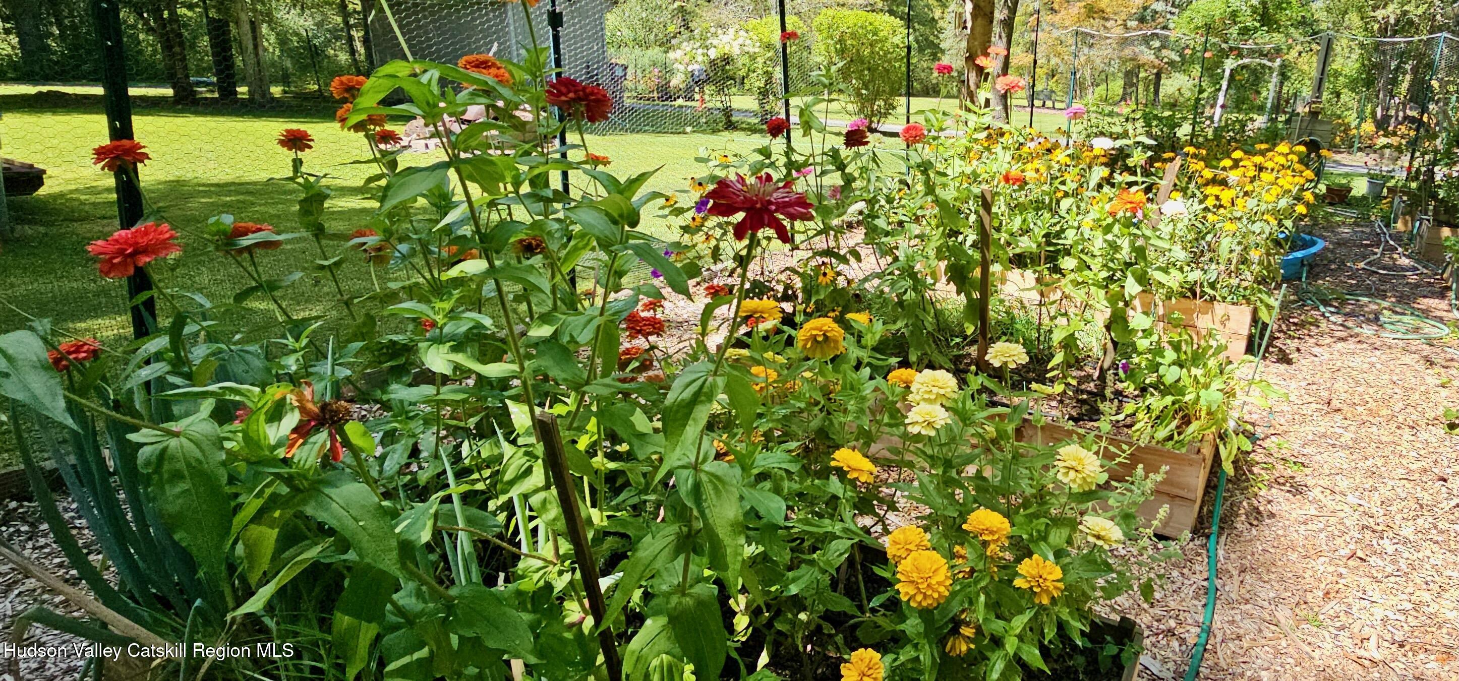 15 Unity Lane New Paltz, NY 12561 - Photo 57 of 66 FLOWER BLOOMS - 15 UNITY - 2