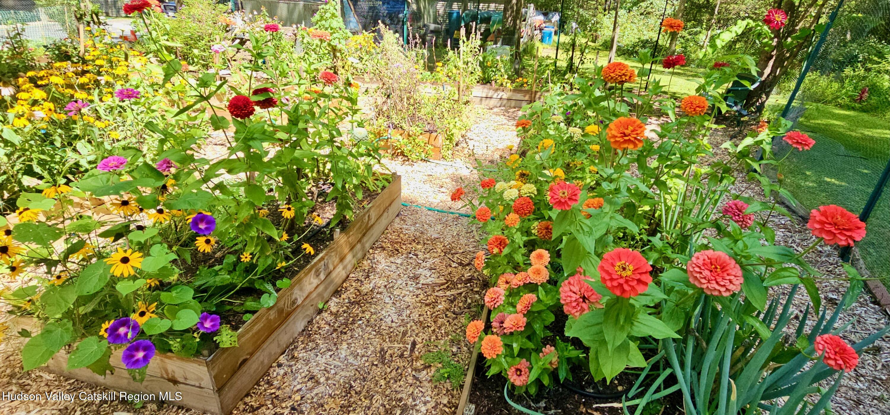 15 Unity Lane New Paltz, NY 12561 - Photo 59 of 66 FLOWER BLOOMS - 15 UNITY - 1