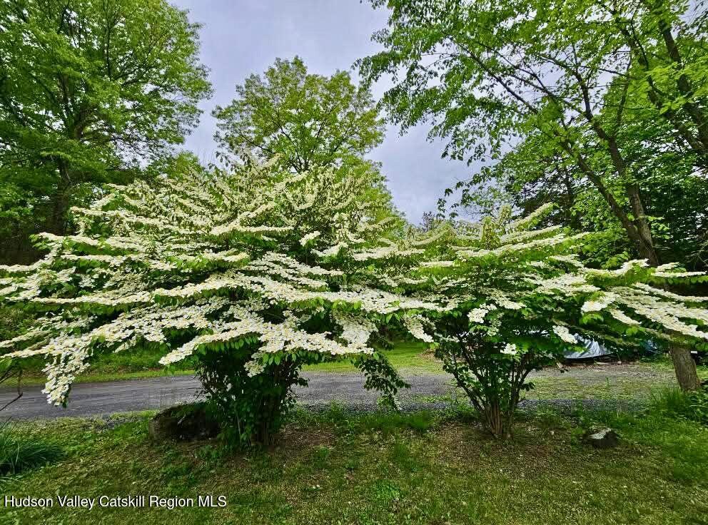 15 Unity Lane New Paltz, NY 12561 - Photo 61 of 66 FINAL SELLER PROVIDED EXTERIORS - 6
