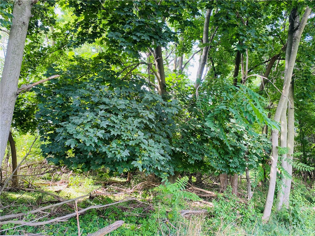 25 Horan Road Ridgeway, NY 14103 - Photo 1 of 1 Gallery Image 1