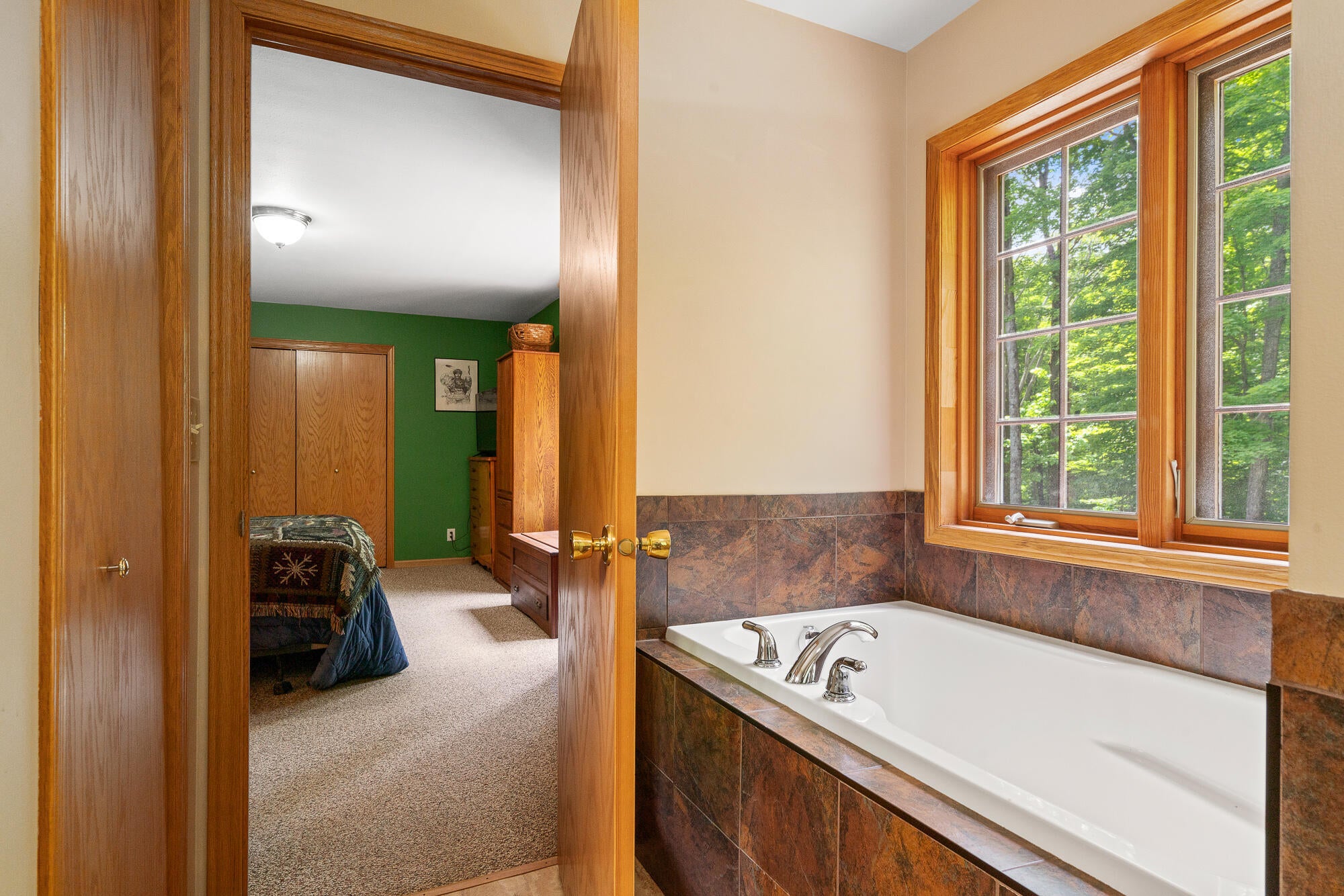 6220 Reams Road Alanson, MI 49706 - Photo 37 of 53 Gallery Image 37