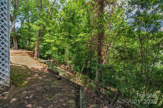 a view of a yard with plants and trees