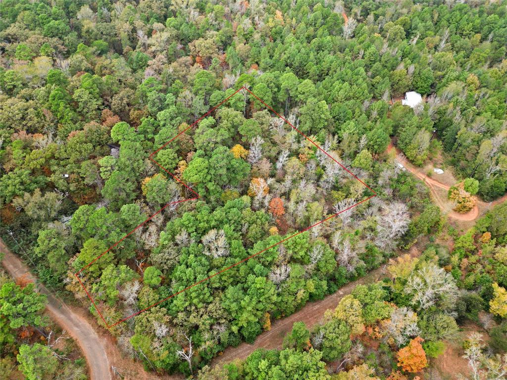 Tbd Mountain View Road North Winona, TX 75792 - Photo 13 of 14