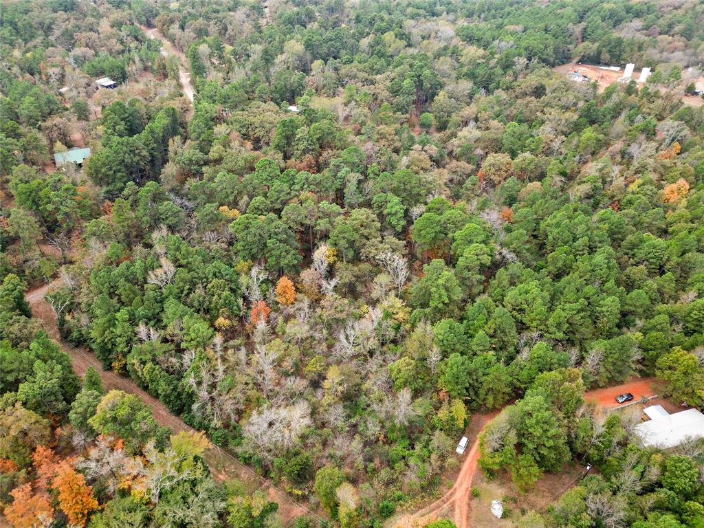 Tbd Mountain View Road North Winona, TX 75792 - Photo 5 of 14