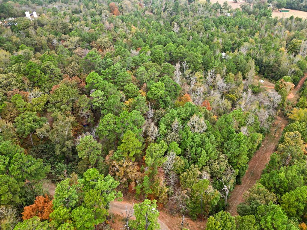 Tbd Mountain View Road North Winona, TX 75792 - Photo 9 of 14