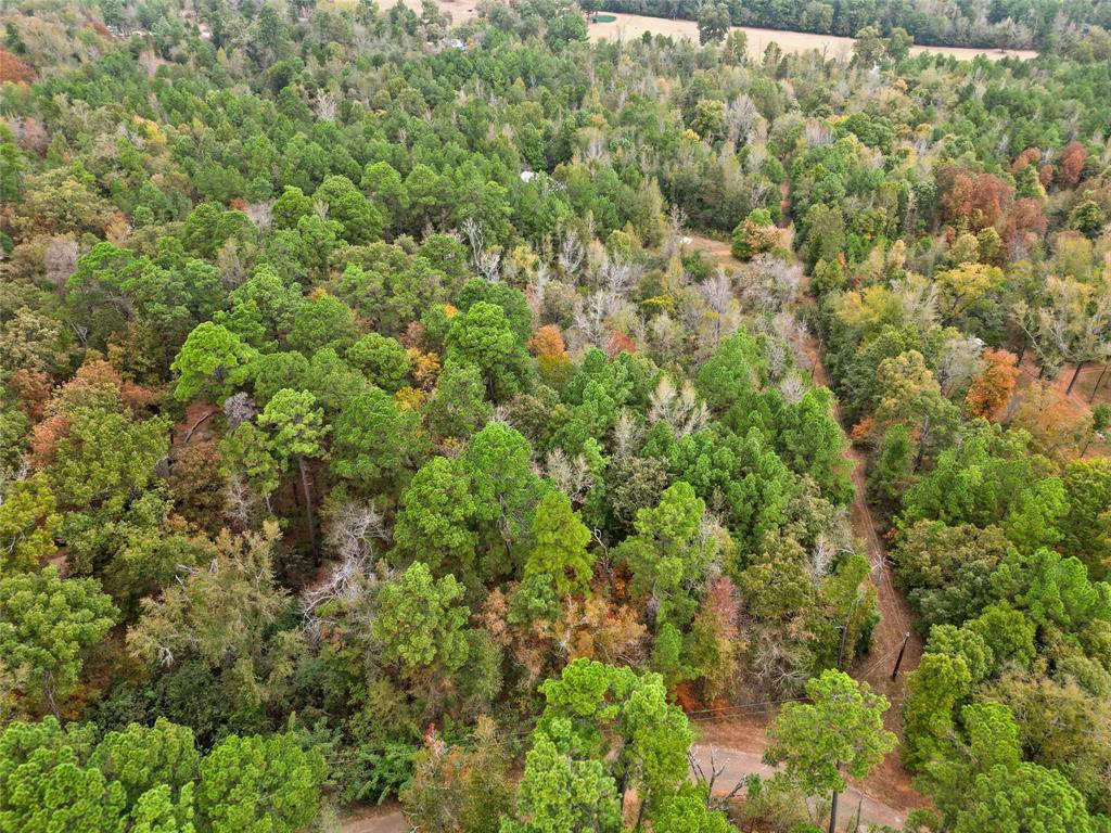 Tbd Mountain View Road North Winona, TX 75792 - Photo 10 of 14