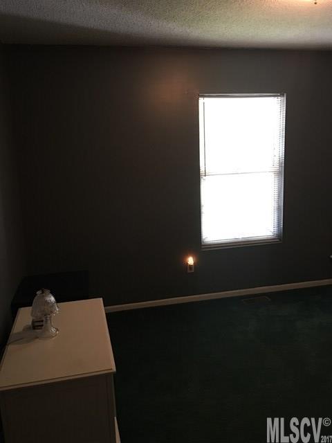 1056 Burma Road East Marion, NC 28752 - Photo 5 of 24 Gallery Image 5