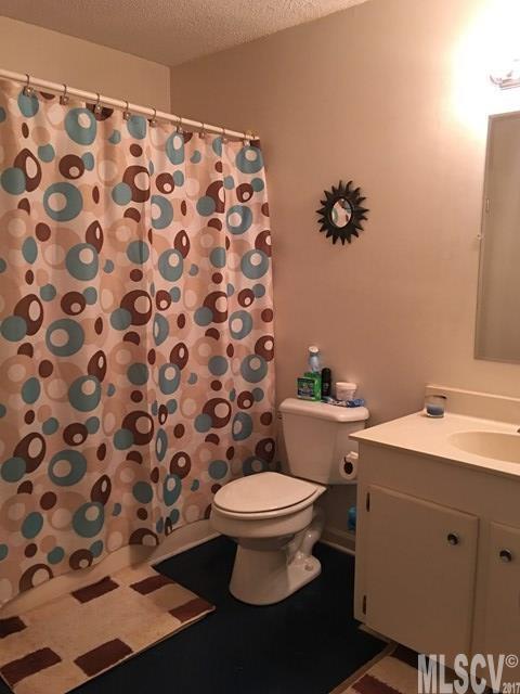 1056 Burma Road East Marion, NC 28752 - Photo 6 of 24 Gallery Image 6