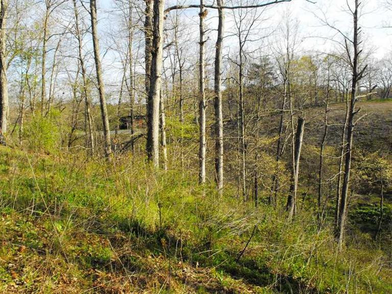 851 Virden Ridge Road Clay City, KY 40312 - Photo 14 of 19 Photo 14