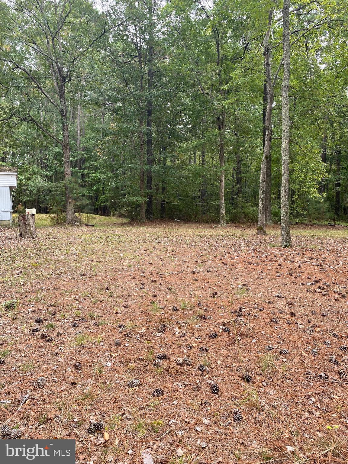 23301 Nanticoke Road Quantico, MD 21856 - Photo 3 of 6