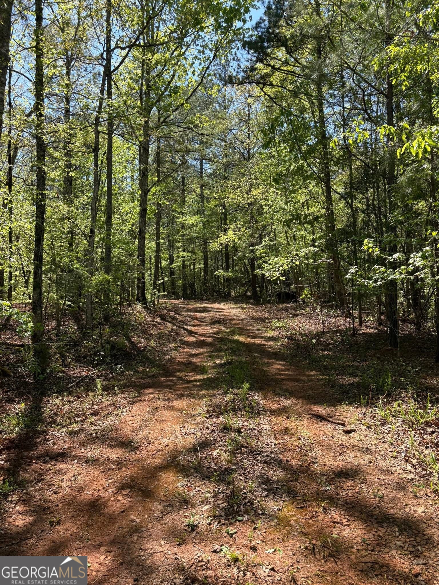 0 Off North Taylor Road Manchester, GA 31816 - Photo 3 of 10