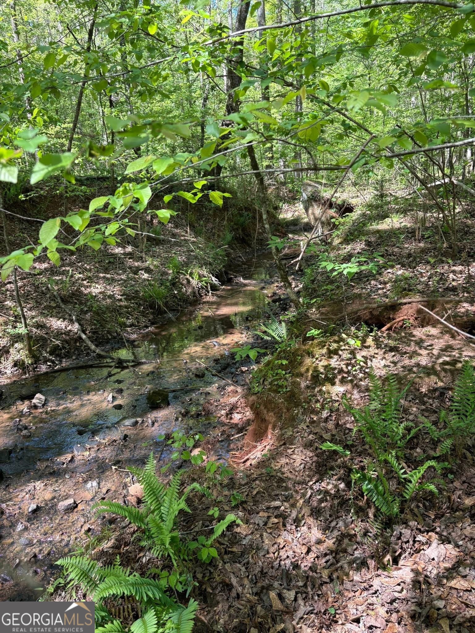 0 Off North Taylor Road Manchester, GA 31816 - Photo 7 of 10