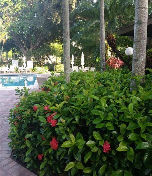 3100 North Course Lane, Unit 210 Pompano Beach, FL 33069 - Photo 28 of 28 a bunch of flowers in a yard