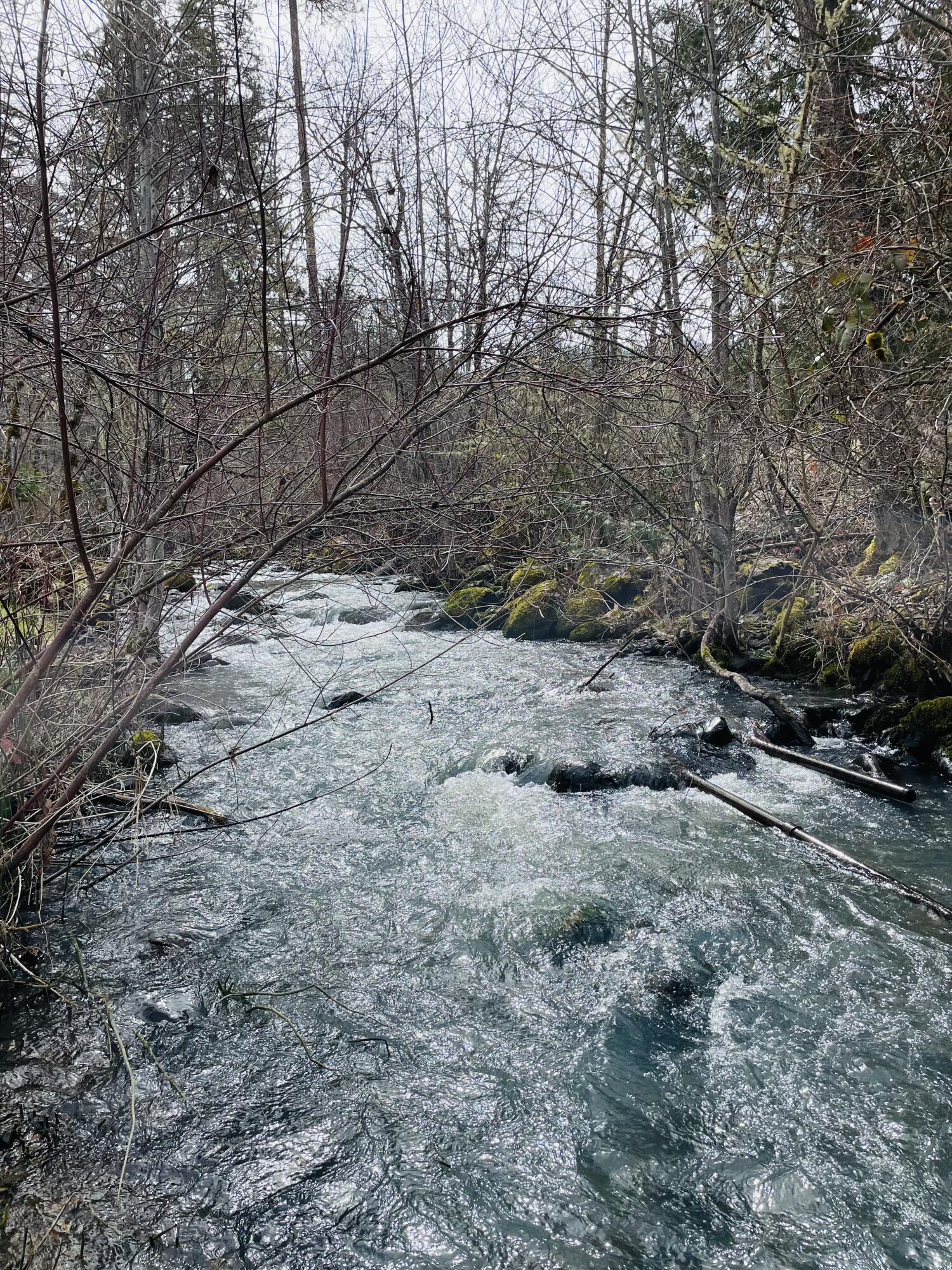 15000 Elk Creek Road Trail, OR 97541 - Photo 46 of 48 0ADC64F8-FAA1-4B83-9F5C-867529D401C5