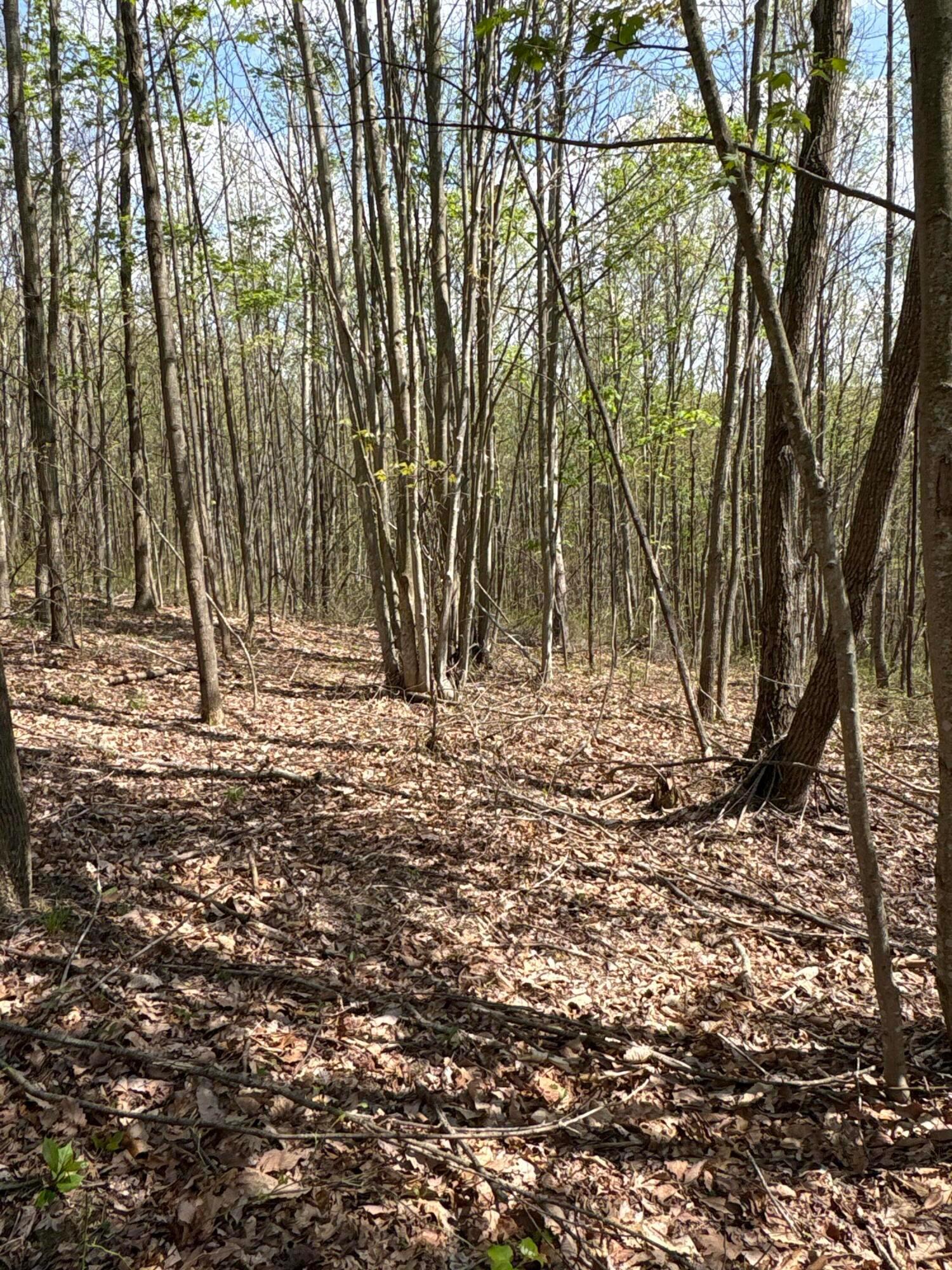 0 Pyle Road Lucasville, OH 45648 - Photo 25 of 26 pic 19
