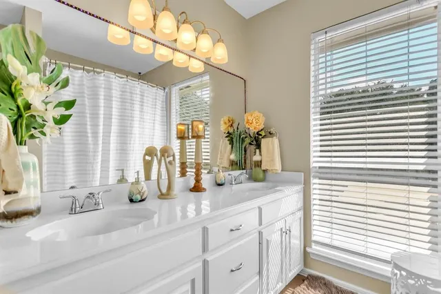 a bathroom with a granite countertop sink a potted plant and a window