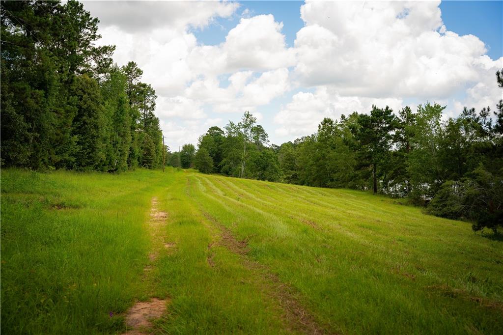 6938 Story Mill Road Hephzibah, GA 30815 - Photo 11 of 36 a view of a big yard with swimming pool and wooden fence