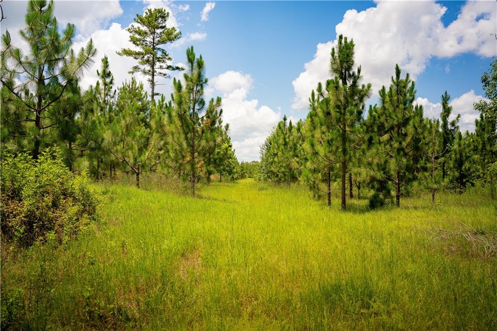 6938 Story Mill Road Hephzibah, GA 30815 - Photo 13 of 36 a view of an ocean