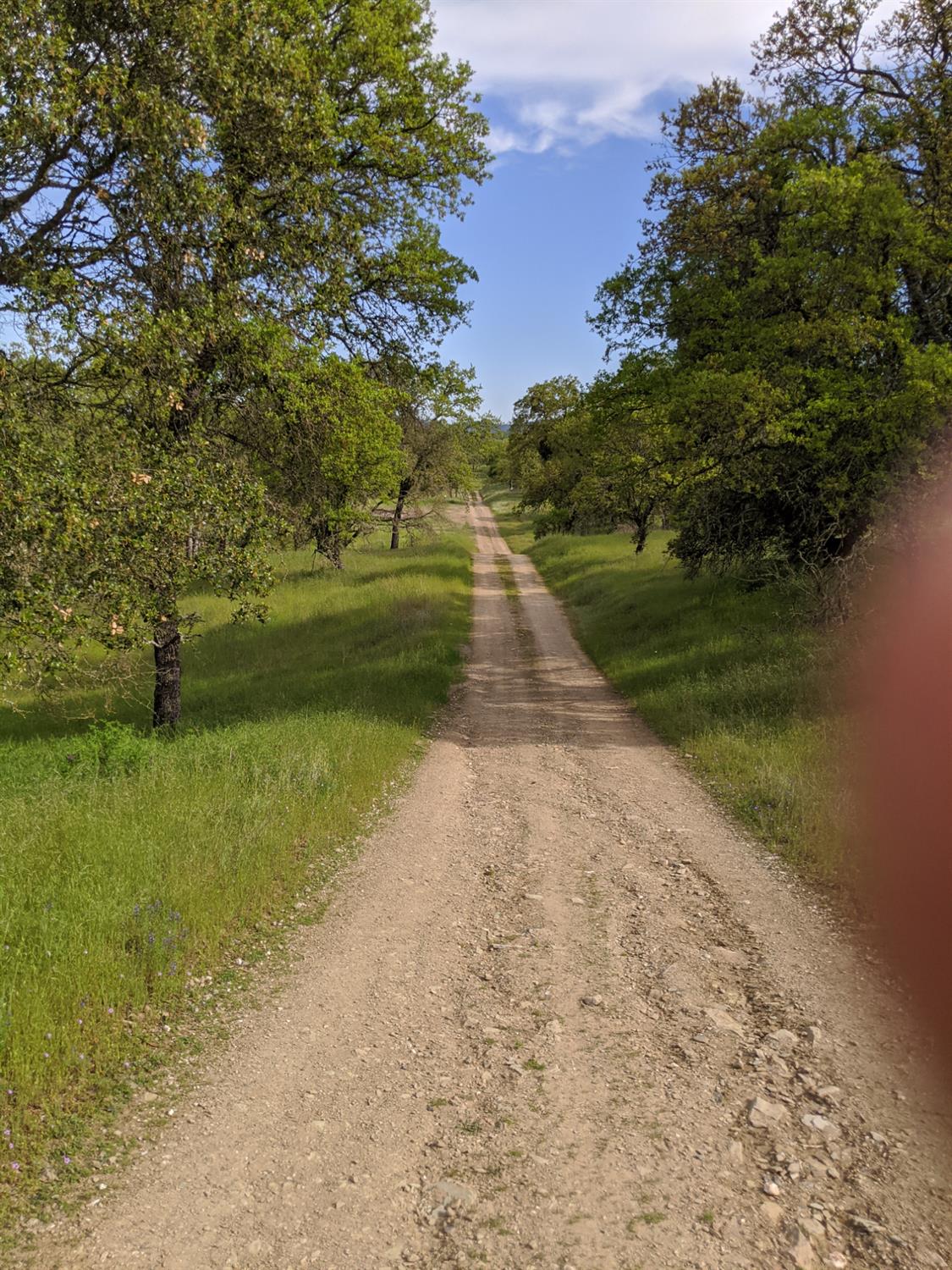 8 Rock Ridge Court, Unit 288 Copperopolis, CA 95228 - Photo 55 of 58 This is a trail that wraps around the development for walking. Approximately 7 miles of beauty.