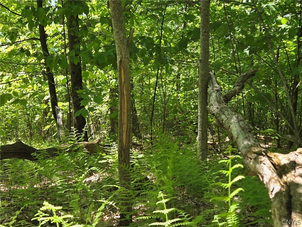 Lillibridge Road Olean, NY 14760 - Photo 7 of 48