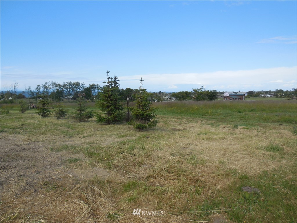 9999999 Olympic View Sequim, WA 98382 - Photo 11 of 16 Gallery Image 11
