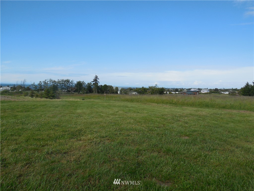 9999999 Olympic View Sequim, WA 98382 - Photo 3 of 16 Gallery Image 3