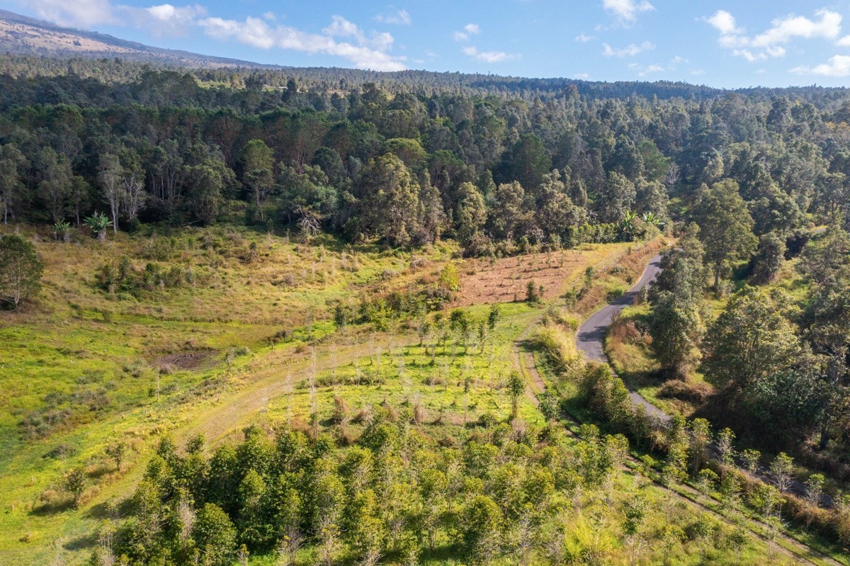 Undisclosed Address Holualoa, HI 96725 - Photo 11 of 15 a view of outdoor space and mountain view