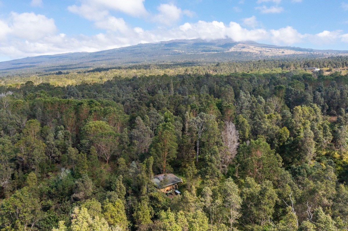 Undisclosed Address Holualoa, HI 96725 - Photo 12 of 15 a view of a city with lush green forest
