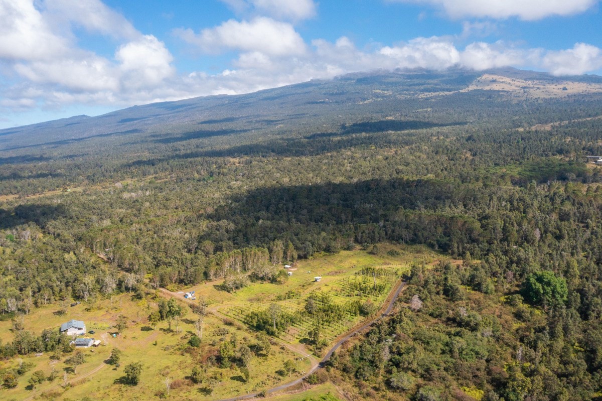 Undisclosed Address Holualoa, HI 96725 - Photo 8 of 15 a view of a yard next to a building