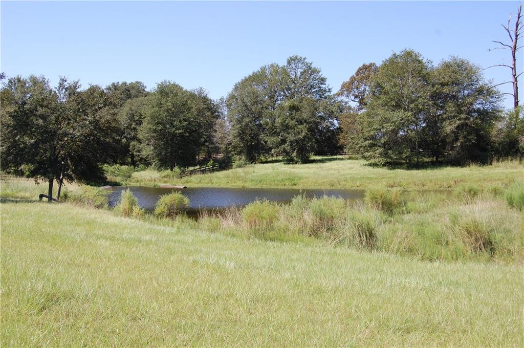 80-acres La Tung Road Covington, LA 70435 - Photo 11 of 35