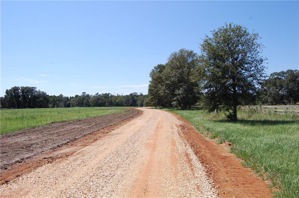 80-acres La Tung Road Covington, LA 70435 - Photo 12 of 35