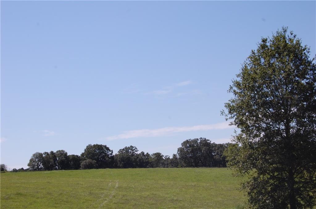 80-acres La Tung Road Covington, LA 70435 - Photo 17 of 35