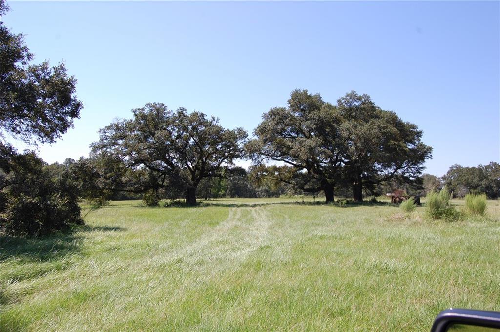 80-acres La Tung Road Covington, LA 70435 - Photo 18 of 35
