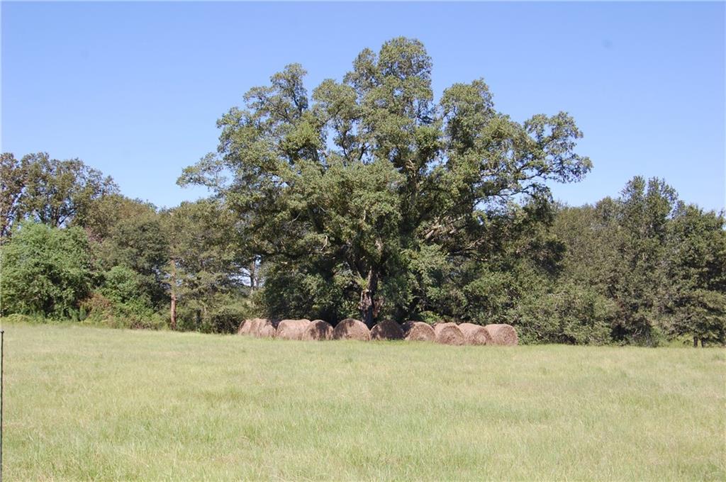 80-acres La Tung Road Covington, LA 70435 - Photo 19 of 35