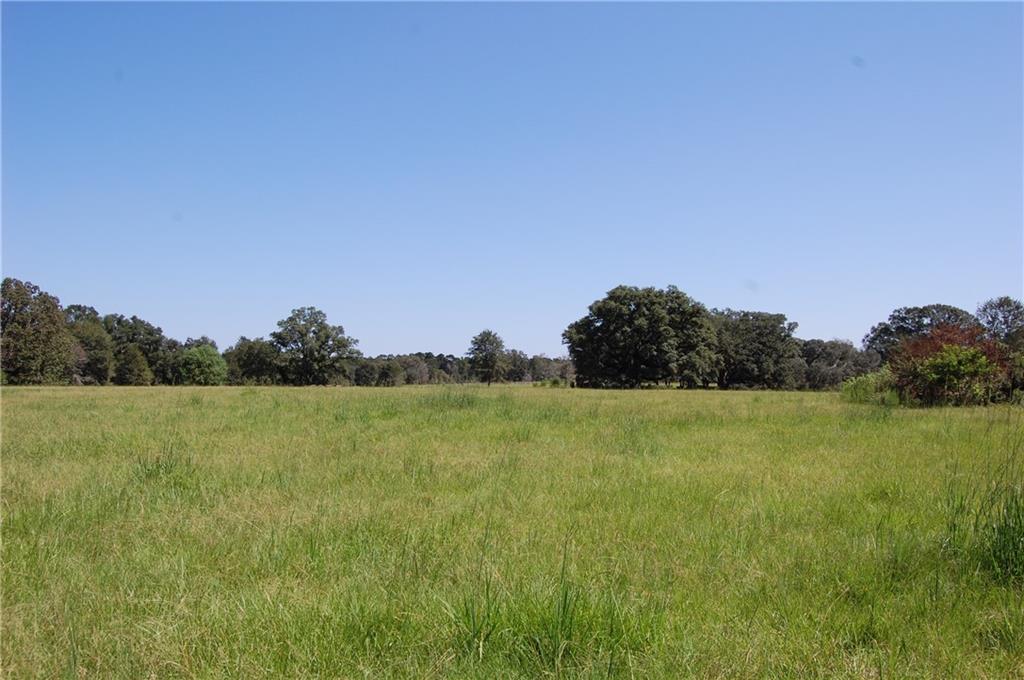 80-acres La Tung Road Covington, LA 70435 - Photo 20 of 35