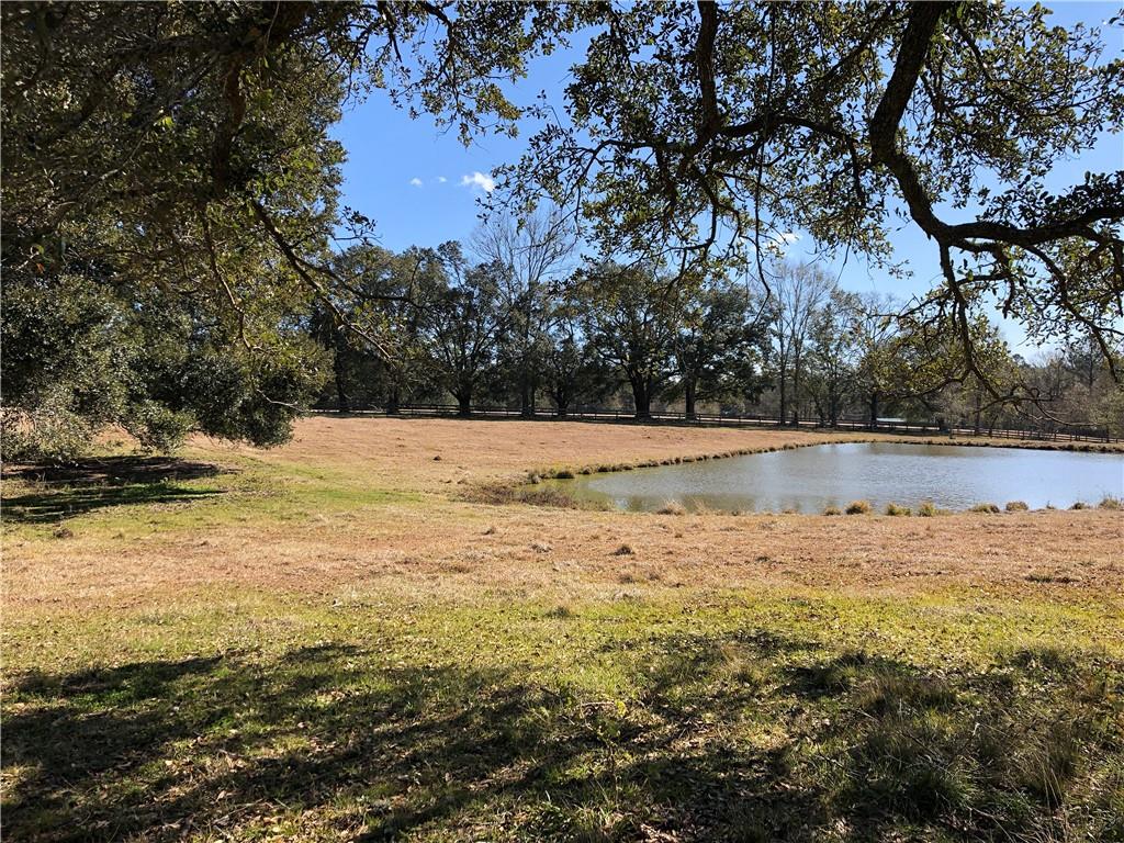 80-acres La Tung Road Covington, LA 70435 - Photo 21 of 35